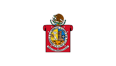 Oaxaca State Flag