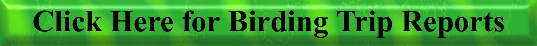 Click Here for the Birding Trip Reports