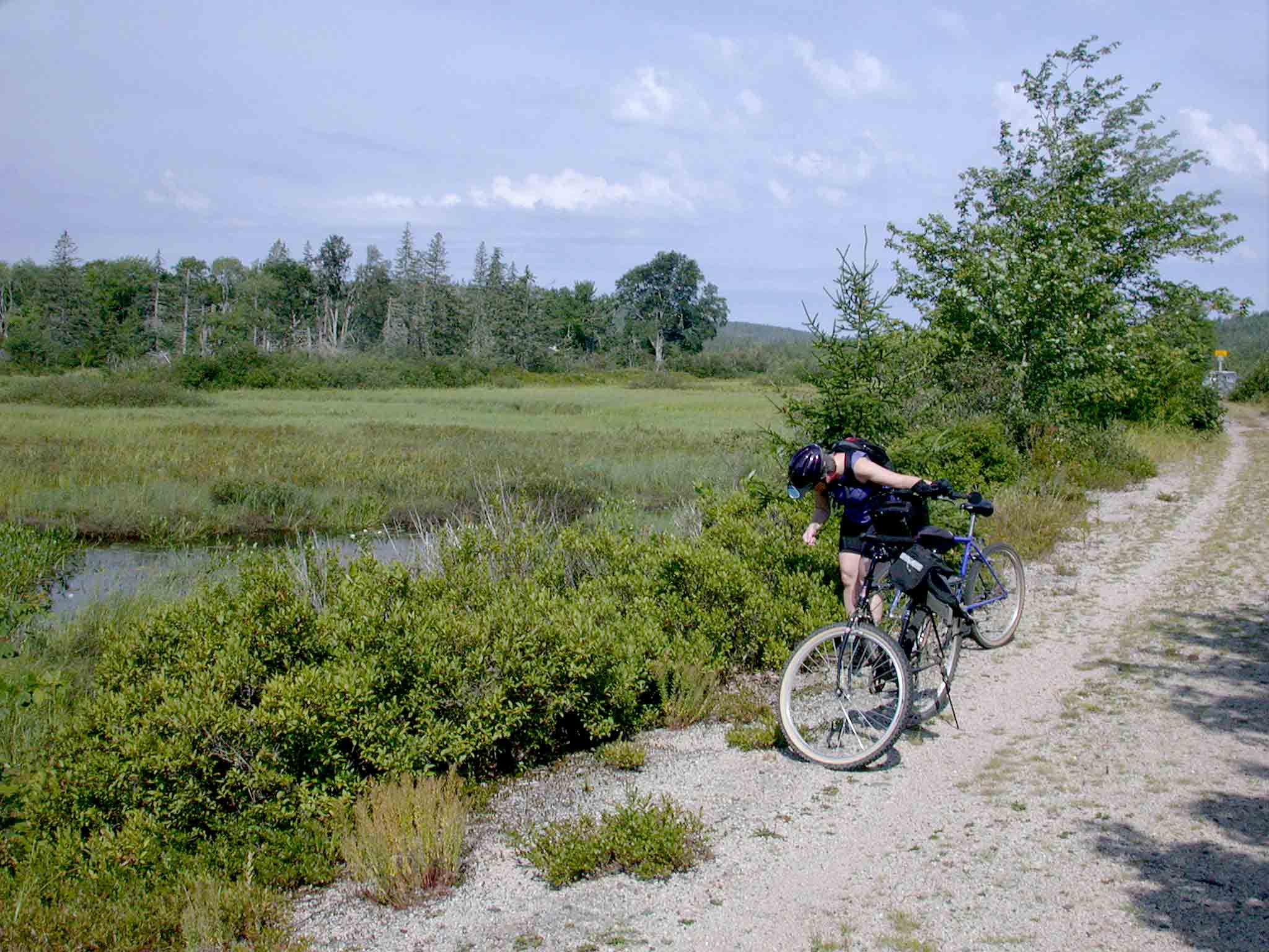 Musqoudoboit Trailway, photo © 2006 by Blake Maybank