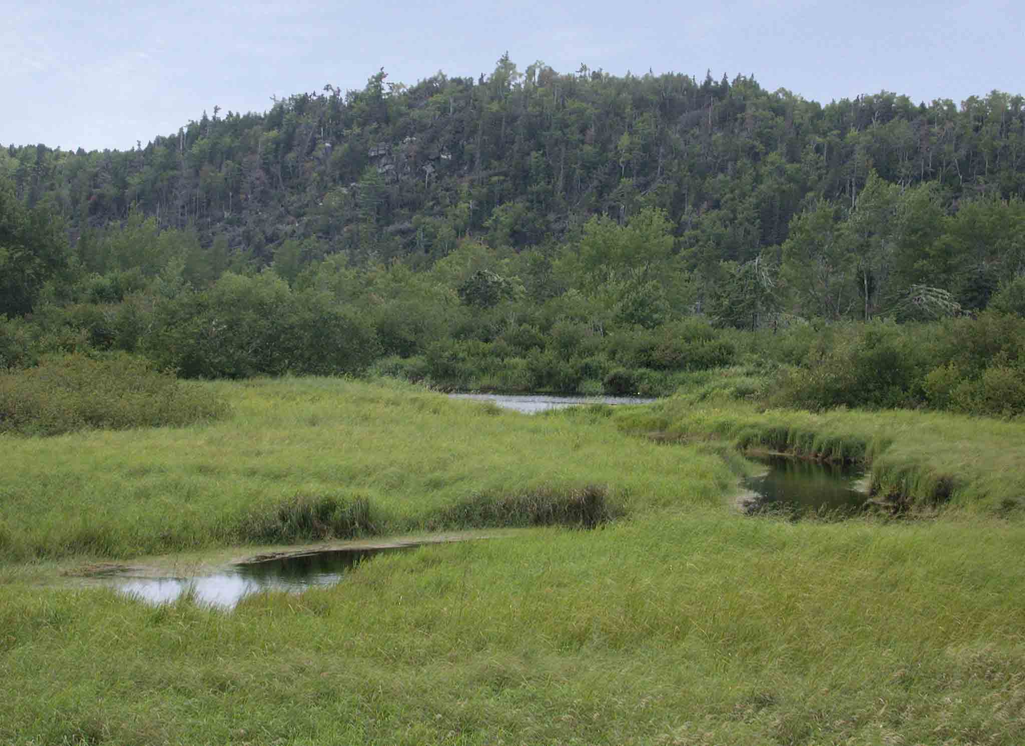 Caribou Brook, photo © 2006 by Blake Maybank