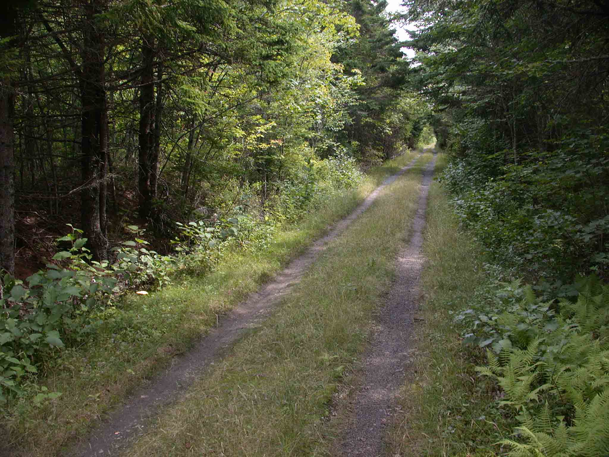 Musquodoboit Trailway, photo © 2006 by Blake Maybank