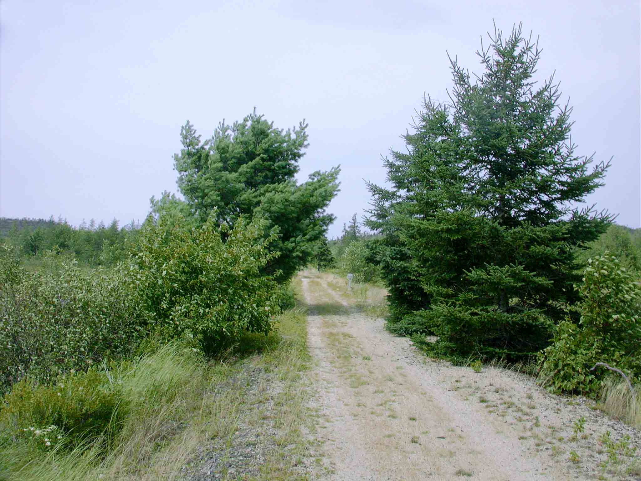 Musquodoboit Trailway, photo © 2006 by Blake Maybank