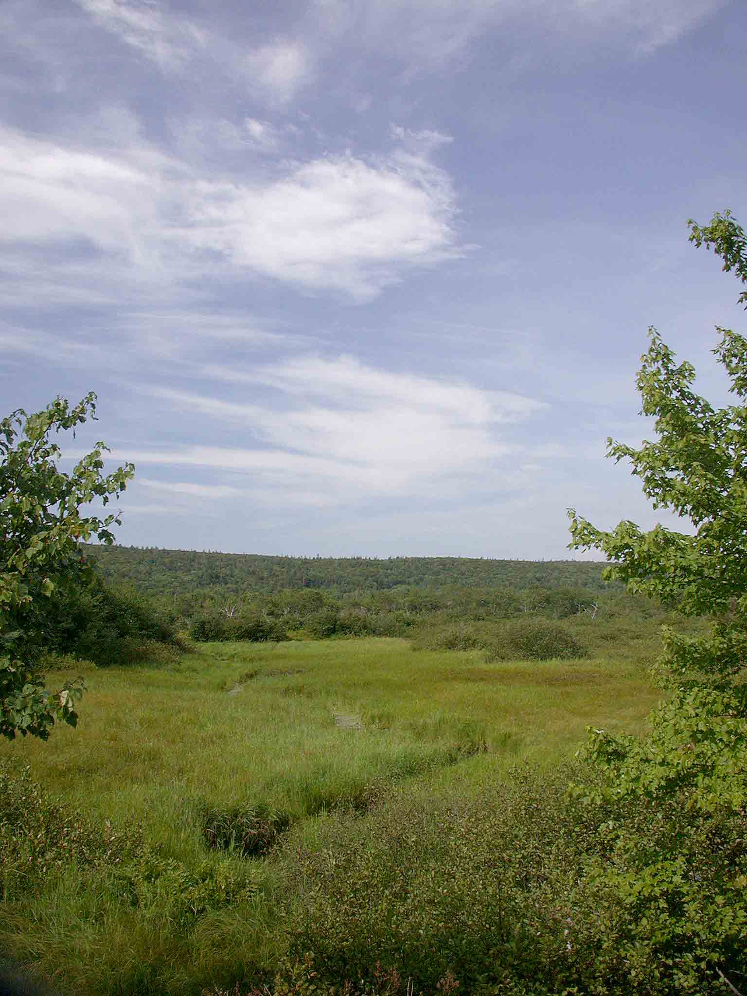 Musquodoboit Valley, photo © 2006 by Blake Maybank