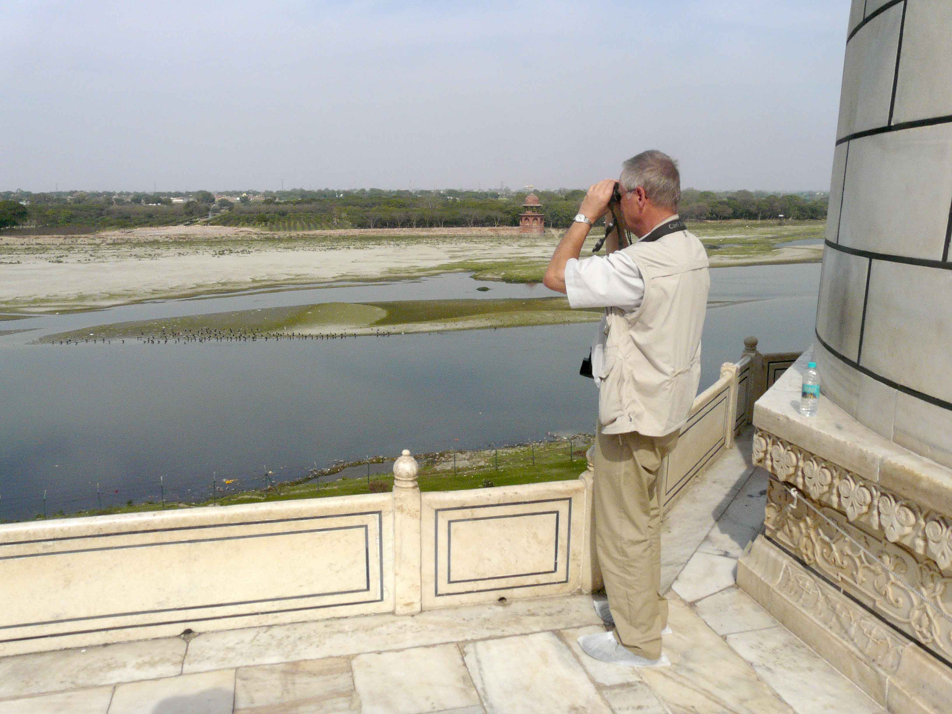 Birding from the Taj Mahal.  Photo © 2010 by Blake Maybank.