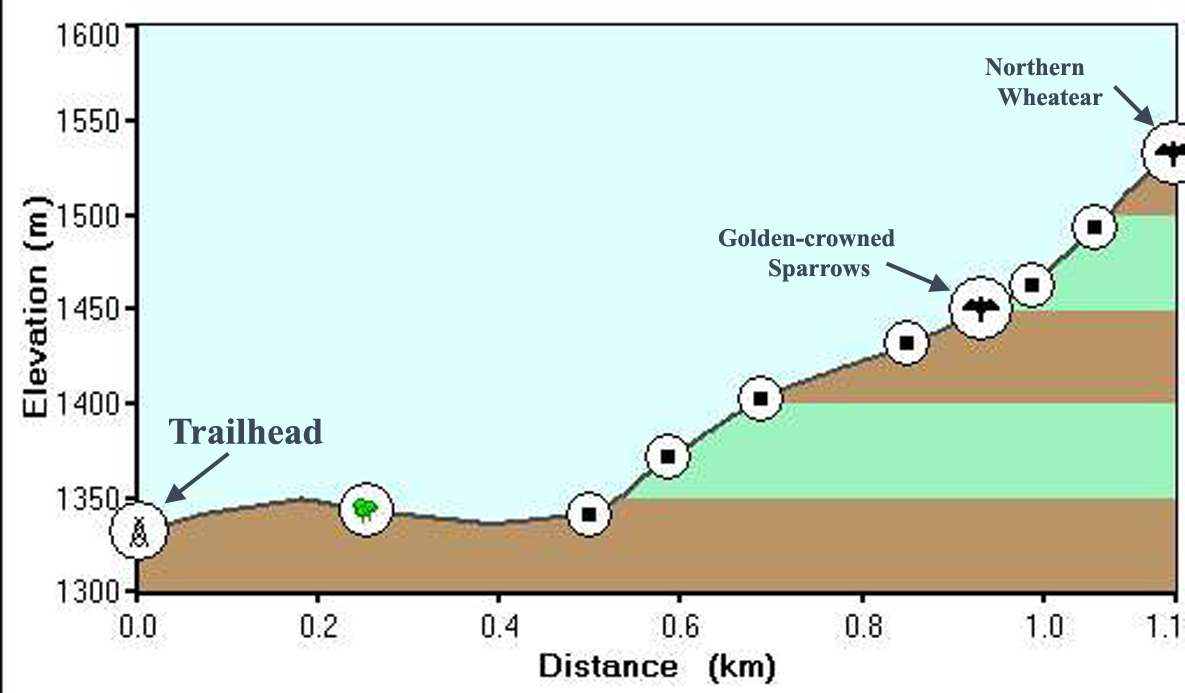 Profile of our hike up Goldensides Mtn