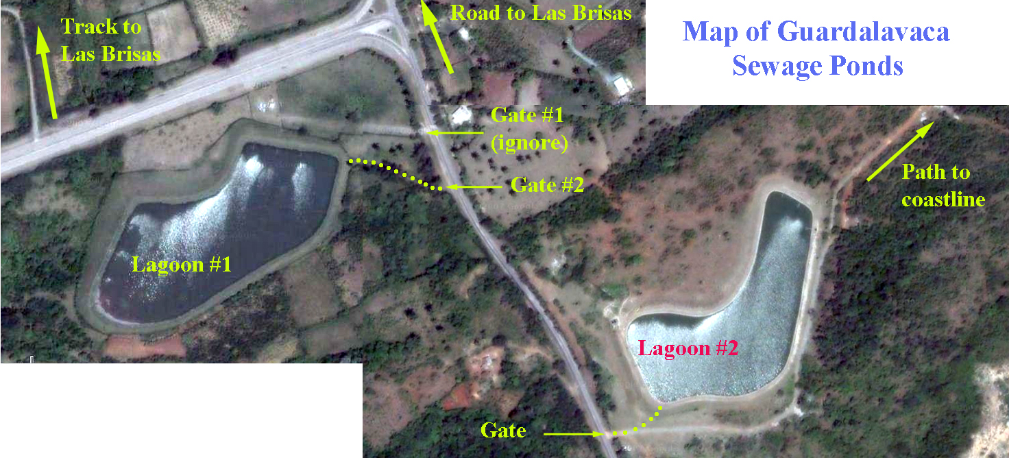 Guardalavaca Sewage Lagoons