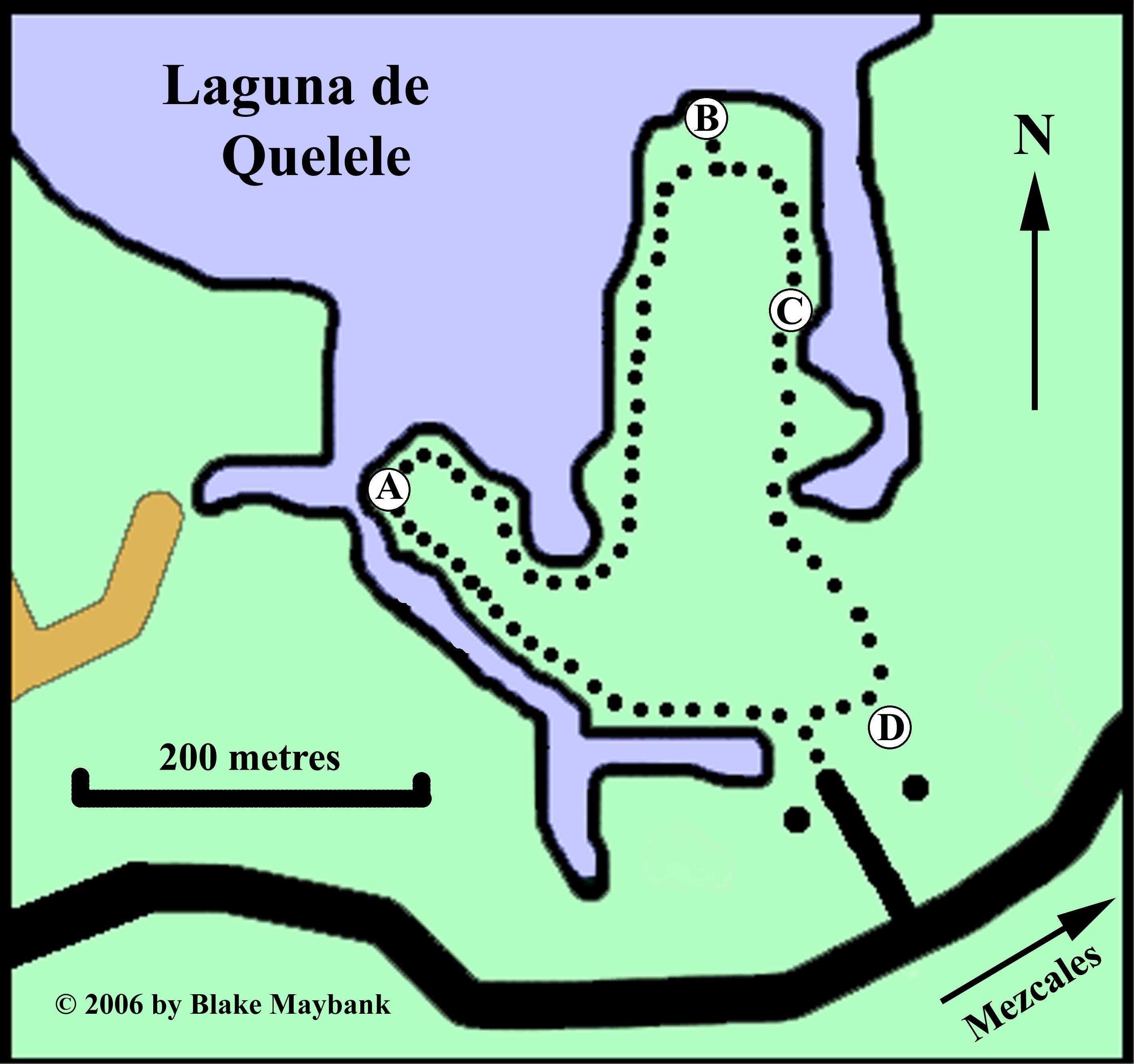 Close up of Laguna de Quelele area