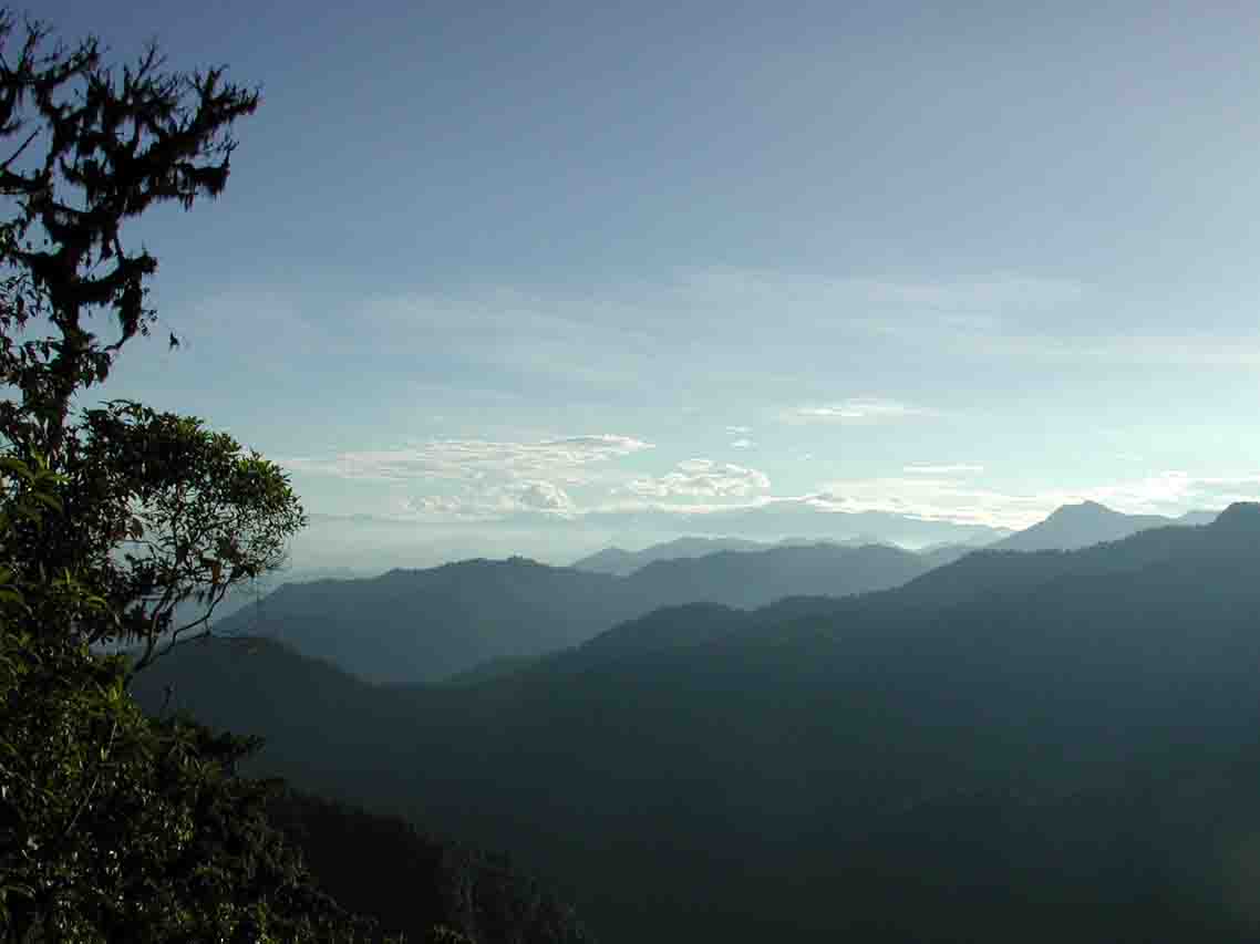 View from BellaVista Lodge