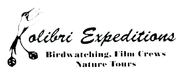 Kolibri - page sponsors