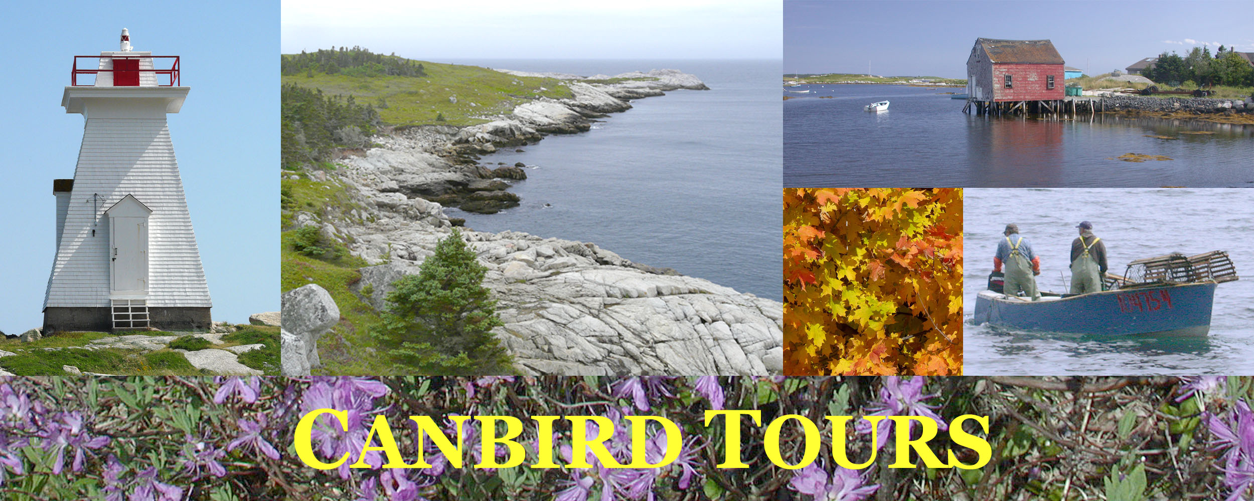 Canbird Tours